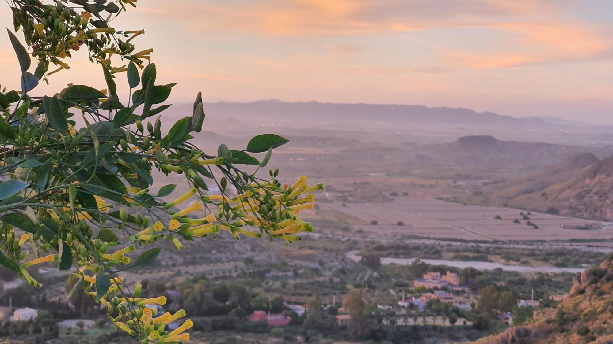 Casanova En Terreros Villa San Juan de los Terreros Dış mekan fotoğraf
